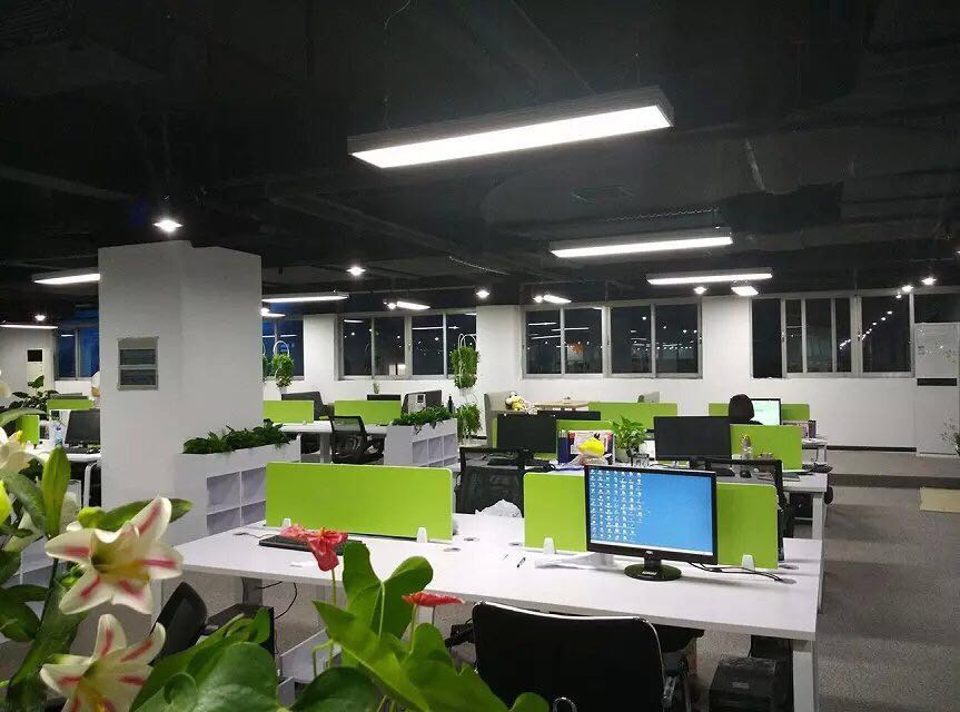 綠色辦公環境展示